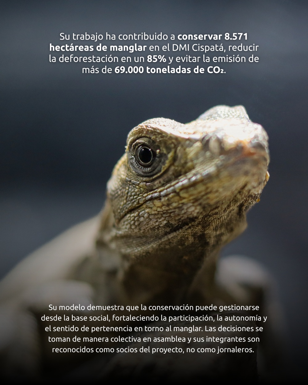 Slide 5 infografía 1